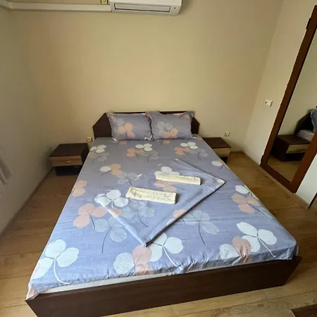 Pensionat Amfora 2 In Olt Town 3*